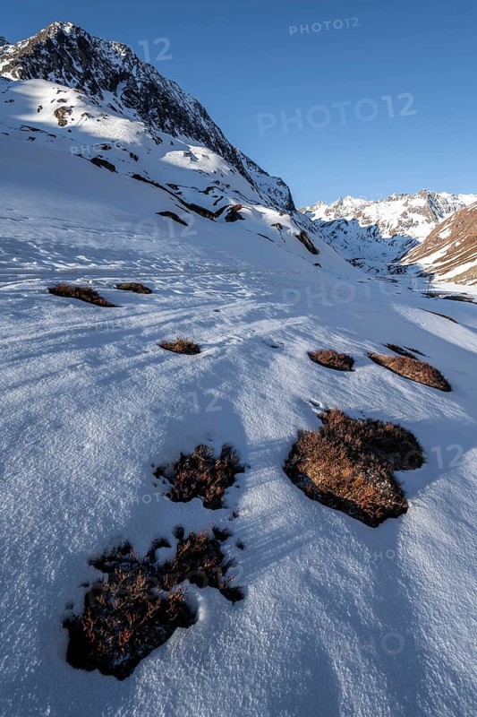 Snow-covered mountains