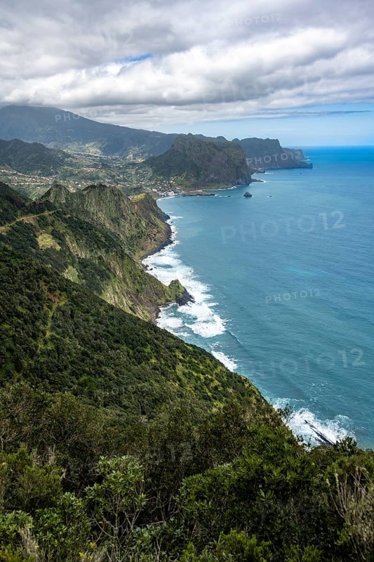 View of steep forested coast and sea