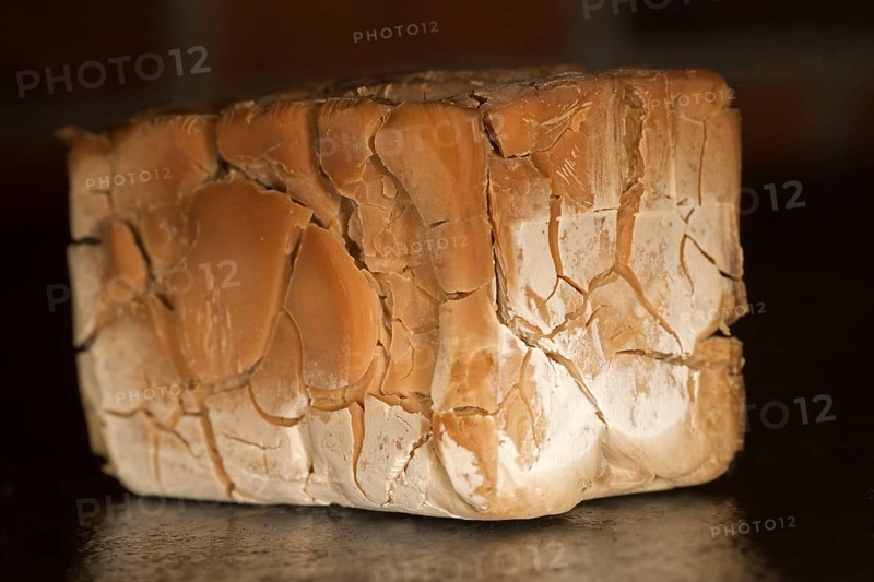 Dried up baker's yeast cube