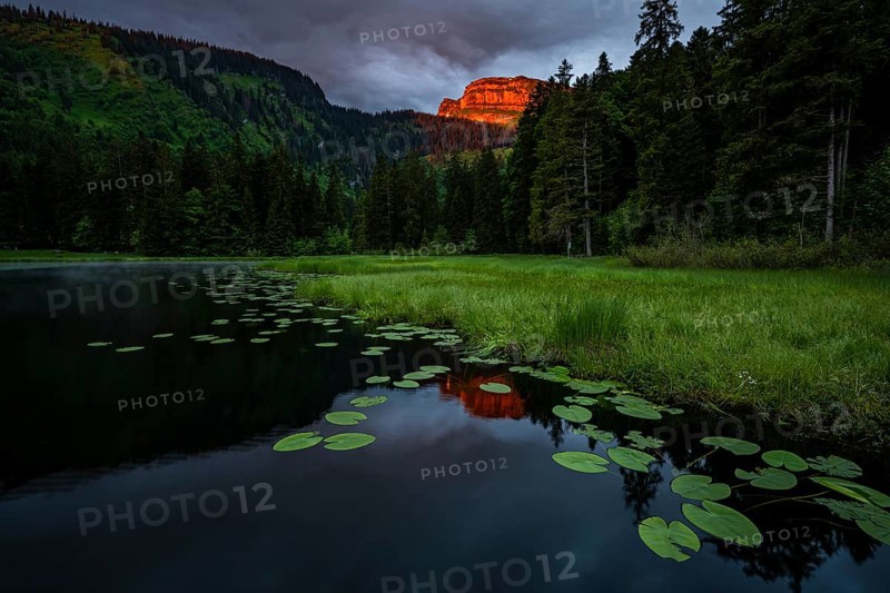 Schwendisee with water lilies