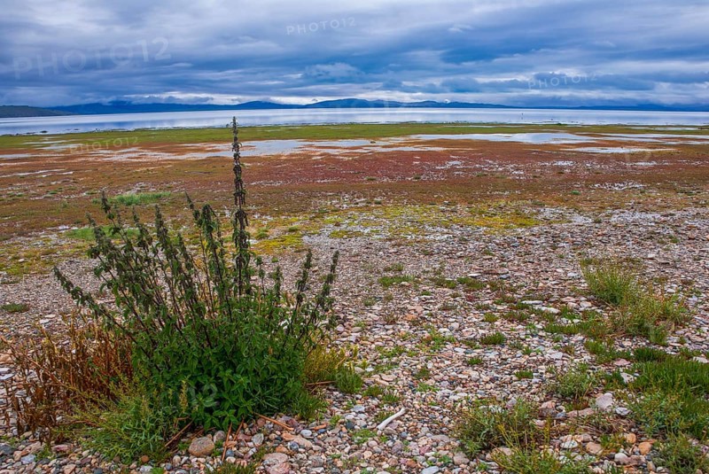 Lake Manasarovar