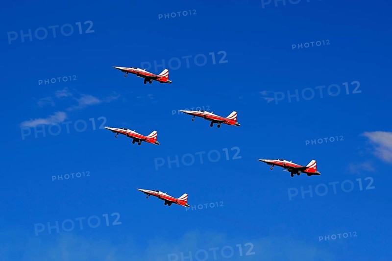 Formation flight of the Patrouille Suisse with the Northrop F-5E Tiger II