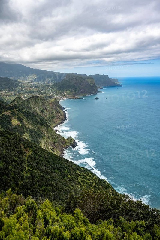 View of steep forested coast and sea