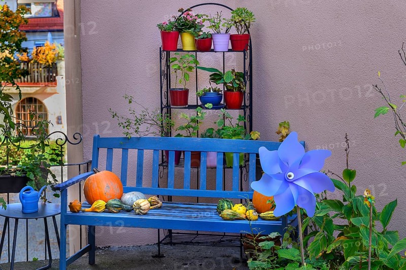 Backyard with flower decoration