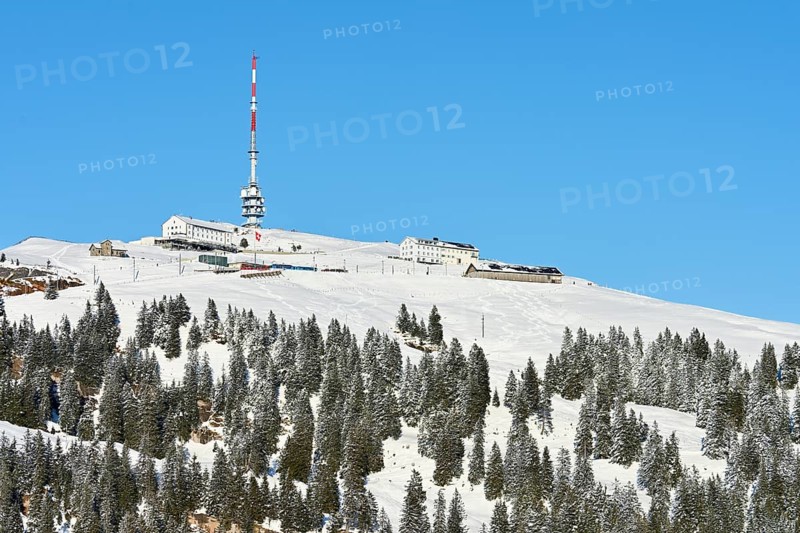 Winter landscape