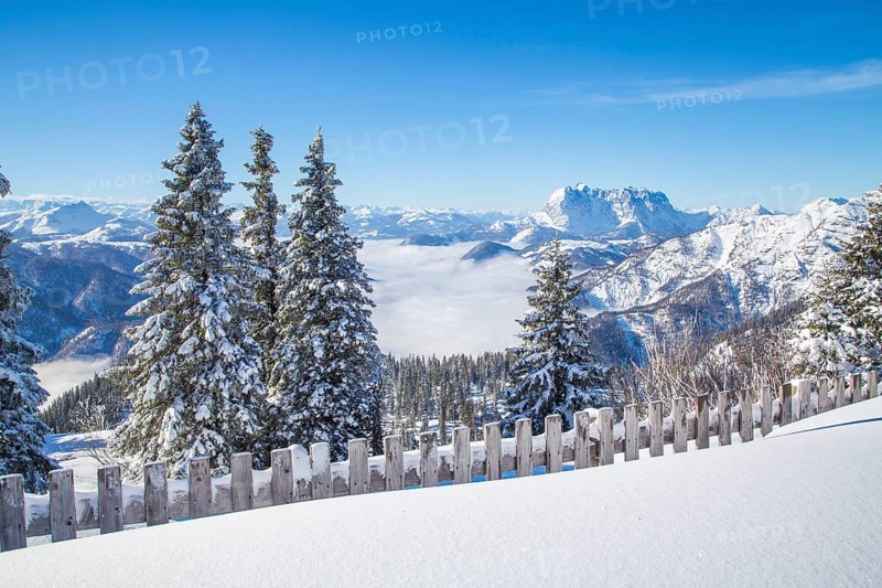 View of the Wilder Kaiser