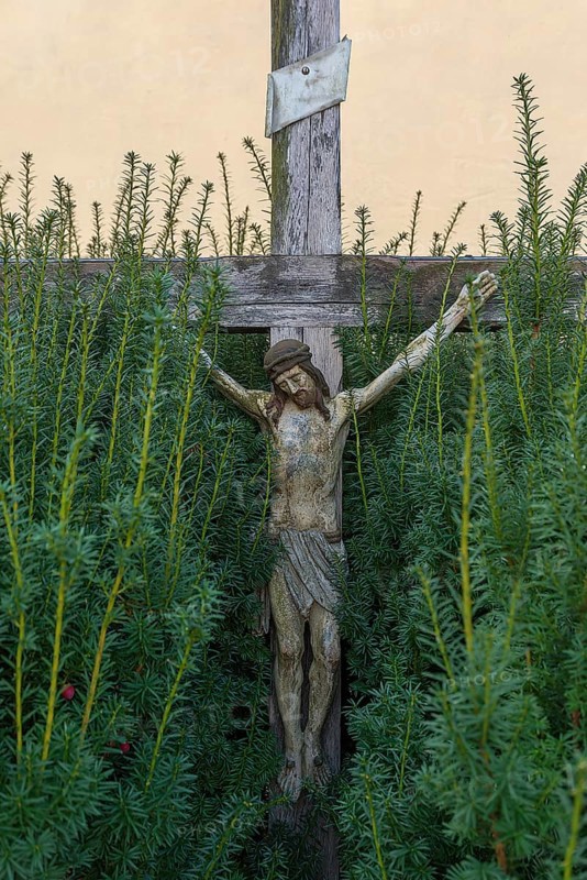 Christ cross in a hedge