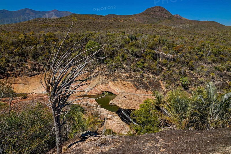 A view over the transitional forest of Andohahela National Park