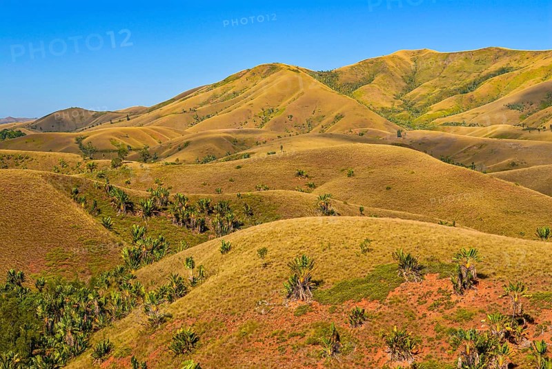 Eroding savanah hills on the east coast near Manakara on the east coast of Madagascar