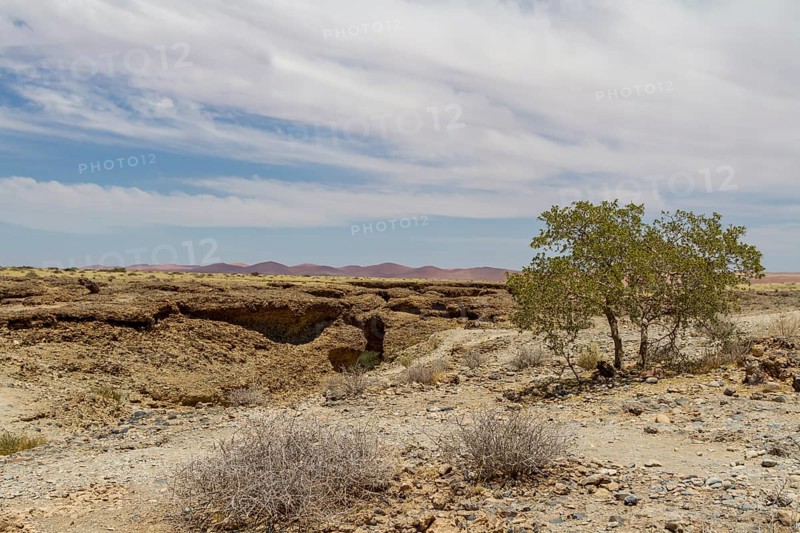 Landscape at Sesriem Canyon