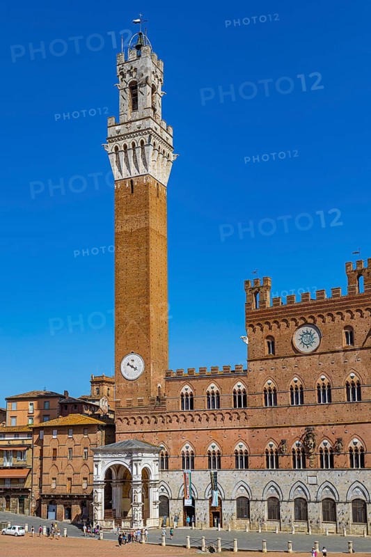 The Tower and Palazzo Pubblico