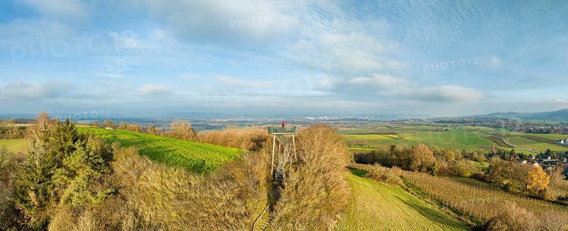 Lookout tower with view of western Lake Constance