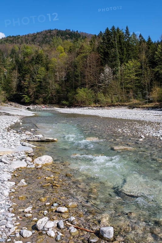 Tauglbachgries