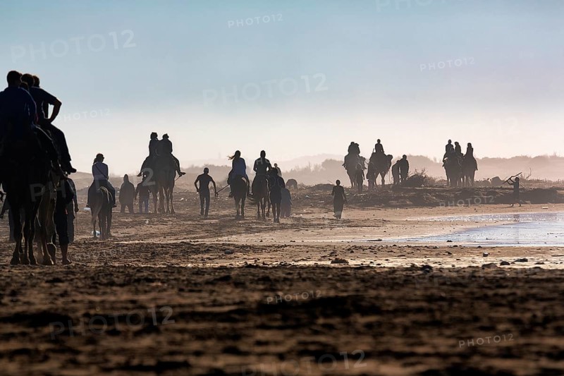 Caravan