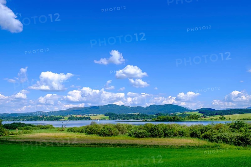 Wallersee-Zell am Wallersee