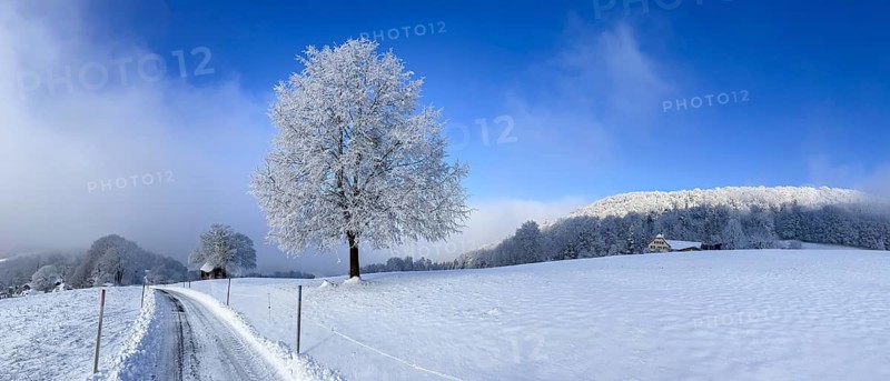 Snow and hoarfrost
