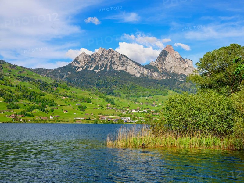 View over Lake Lauerz to the Great and Small Mythen neari Lauerz
