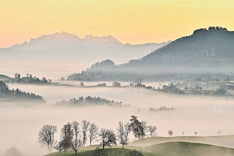 Meadows and trees in autumnal early morning mist