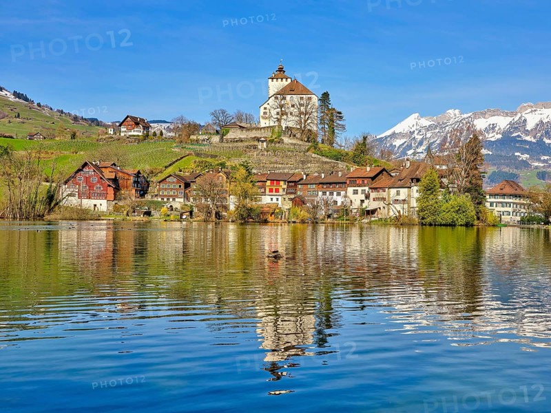 Werdenberg Castle with Old Town on Lake Werdenberg