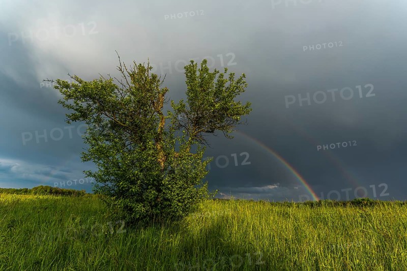 Appearance of a double rainbow in front of a late afternoon storm. Alsace