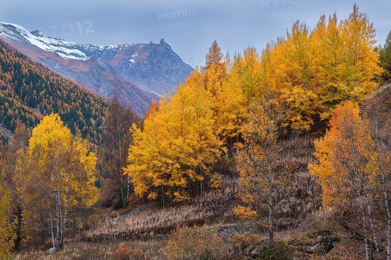 Autumn atmosphere