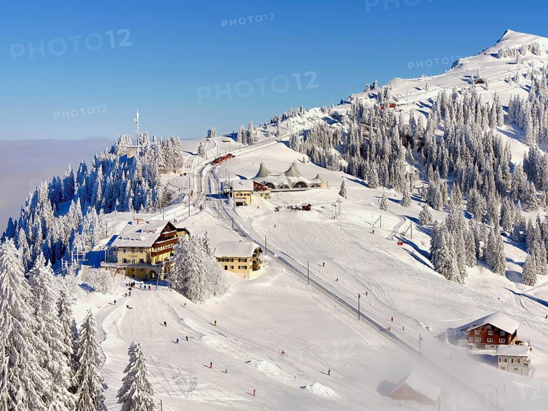 Winter Landscape
