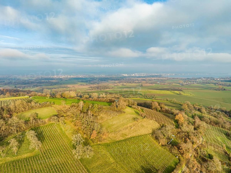 View over the Galgenberg near Bohlingen to western Lake Constance