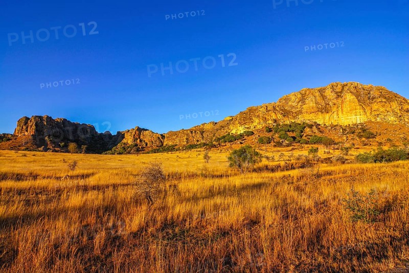 Savanah at sunset in the Isalo National Park