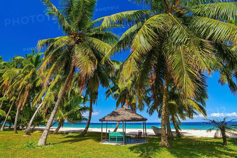 Palm trees on a white sand beach on the Island Ile Sainte-Marie although Nosy Boraha