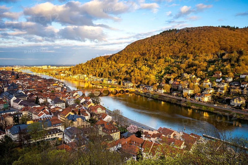 View of Heidelberg