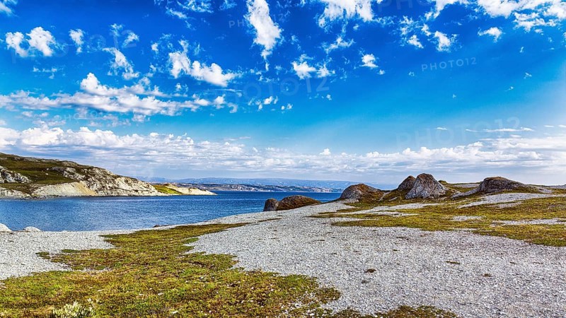 Fjord landscape in summer