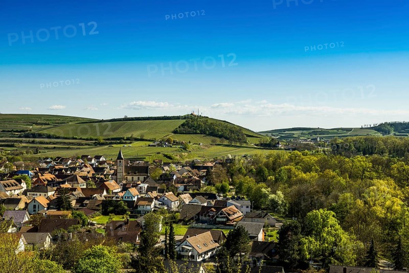 View of village and vineyards and Rhine
