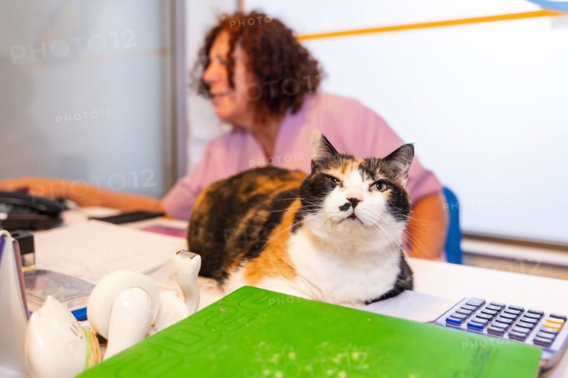 Veterinary clinic
