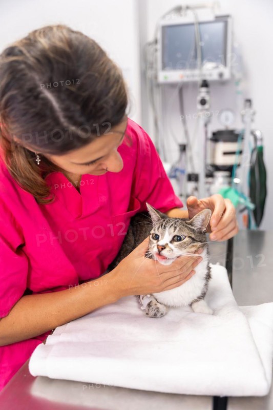 Veterinary clinic
