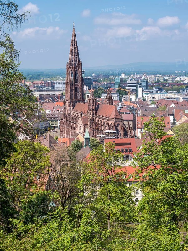 View from the Schlossberg to the city panorama and the Catholic parish church Freiburger Muenster