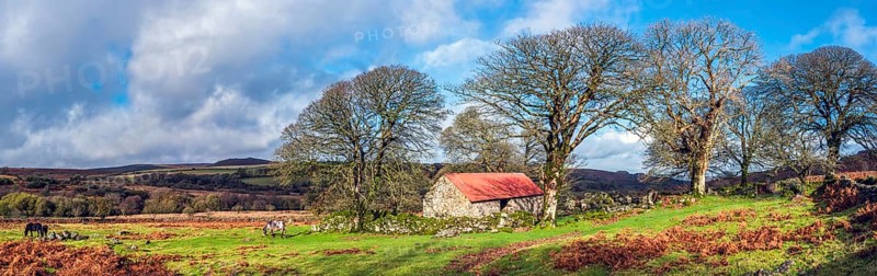 Panorama of Emsworthy Mire