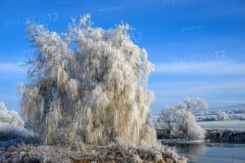 River landscape with hoarfrost and ice