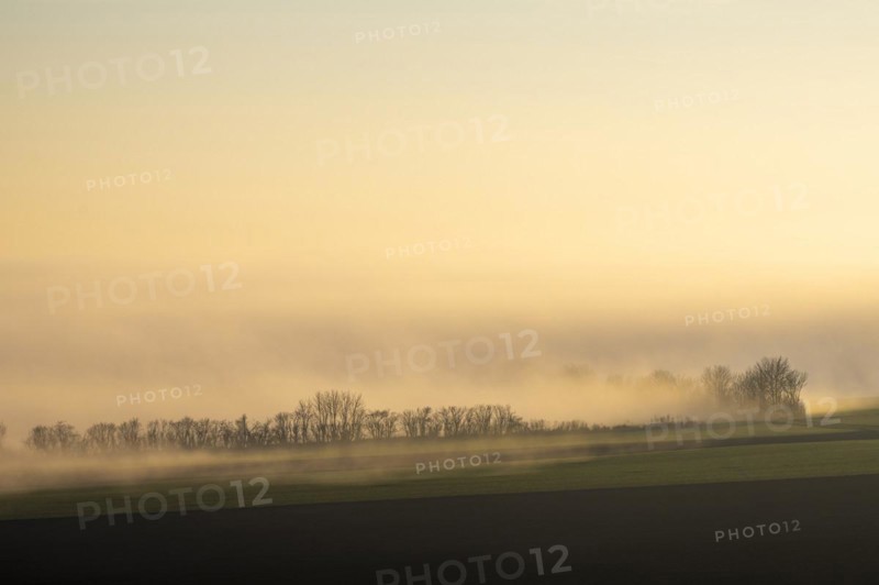Morning atmosphere