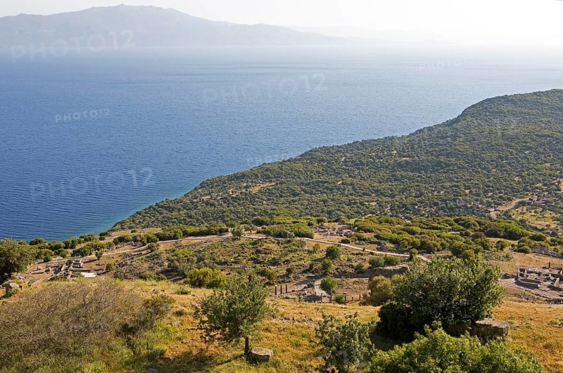 Assos