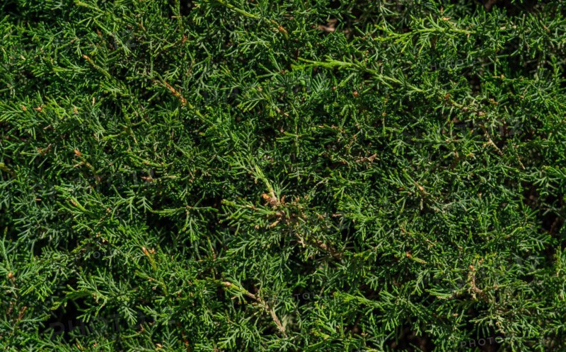 Different backgrounds and textures