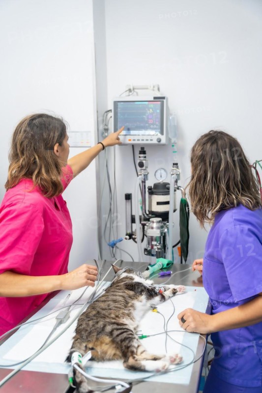 Veterinary clinic