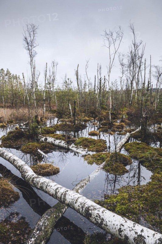 Nature reserve