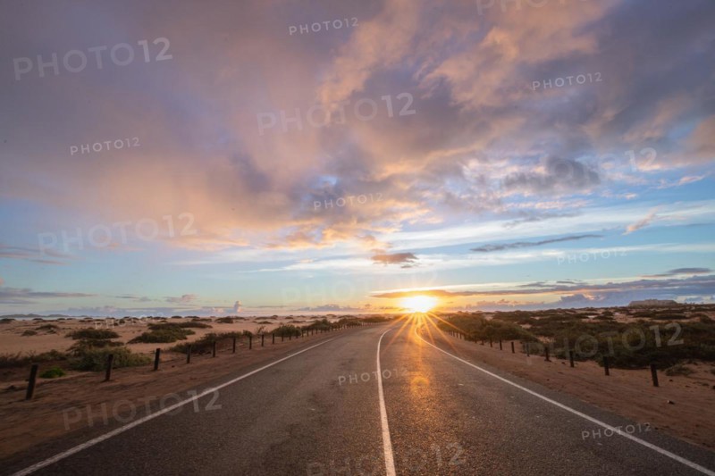 Empty asphalt road through the desert or dunes. Sunrise over the road