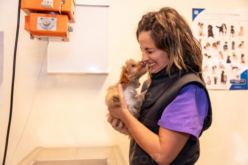 Veterinary clinic