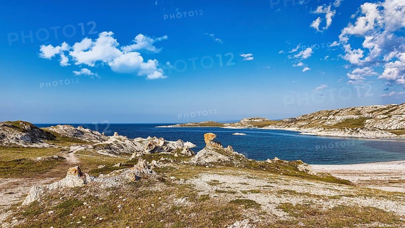 Fjord landscape in summer