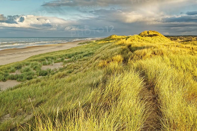 North Sea