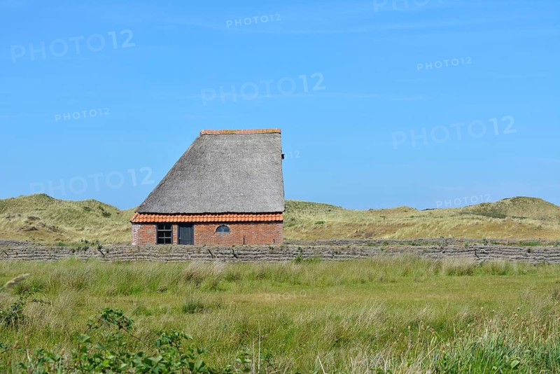 Sheep shelter bungalow building in national park De Muy in the Netherlands on island Texel