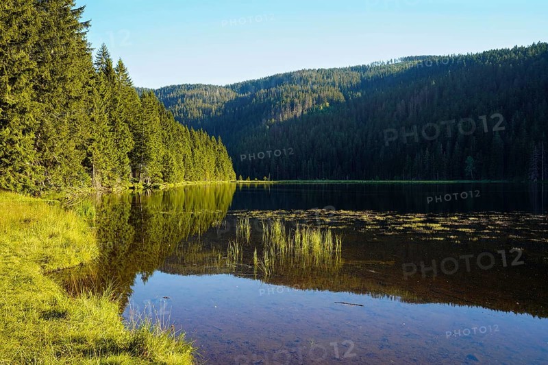 Kleiner Arbersee