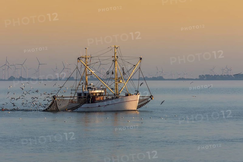 Fishing boat fishing with trawl net in the North Sea