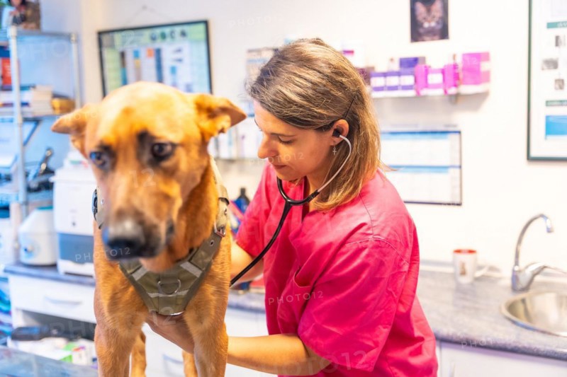 Veterinary clinic